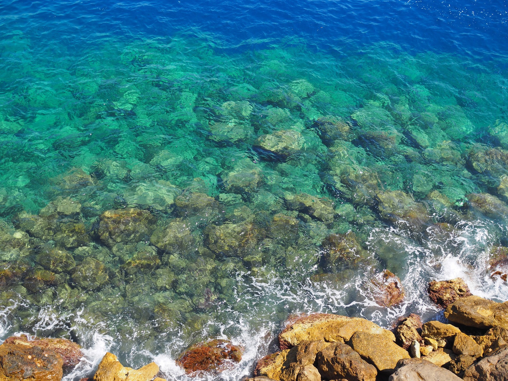 Monaco Shoreline